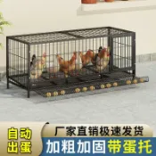 悠樂館 家用雞籠子 養殖籠 家用折疊籠子 家用蛋雞籠特大號 工廠直發