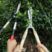 風鈴草百貨 客製園藝剪刀伸縮長柄園林果樹高枝綠籬剪修枝剪草坪剪SK5籬笆剪