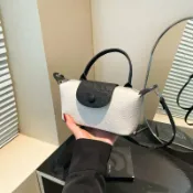 喜挖2店 高級質感迷你小包包女2025新款通勤手提餃子包小眾百搭斜背手機包
