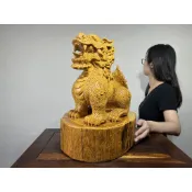 阿一藝品 高檔檜木 釘瘤料【招財貔貅】開運 收藏 貔貅 豼貅 皮丘 靈獸 雕工精細 招財旺運 風水轉運擺件 C53