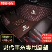 現代Mufasa腳踏墊SantaFe Elantra TUcson/L IX35 ix45 i10 i30雙層大包圍腳墊