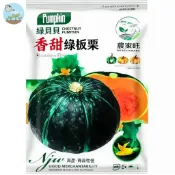 【原廠包裝】綠貝貝小南瓜（Green Baby Pumpkin）25粒裝日本栗子南瓜種子 適合台灣陽台盆栽 果實綿密香甜