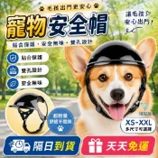 隔日到貨！【貼合保護｜雙孔透氣設計】狗狗安全帽 狗狗頭盔 舒適快速穿脫 高品質犬用配飾 寵物帽子 狗狗帽 寵物頭盔 小中