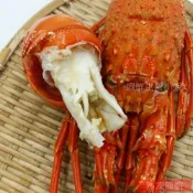 (店+)【蝦鮮生蟹小姐】熟凍大龍蝦 500-550g/隻