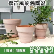 (店+)復古風刷舊陶盆 有孔 紅陶花盆 紅土素燒盆 觀葉植物 雨林植物 多肉塊根 花盆花器【HOMEDEN霍登園藝】