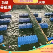 💯台灣發貨24H💯澳洲淡水藍龍蝦巢槽穴人工養殖室內養殖小龍蝦設備螞蟥水蛭闆蟹屋 N7RC