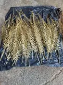 長度約60-70cm 大尺寸人造枝花金色蕨葉草 人造植物 大型人造金蕨類植物 園藝設計 空間擺飾 居家裝飾 插花用品  