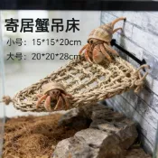 【爬蟲吊床】 海草編織吊床 睫角守宮吊床 寄居蟹攀爬架 鸚鵡攀爬繩 爬蟲造景 爬蟲攀爬用品 爬蟲吊床 爬蟲棲息架