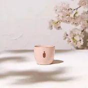 【少量現貨】藍瓶咖啡 Blue Bottle Coffee × KINTO 日本限定2026最新款櫻花陶瓷杯粉色咖啡杯