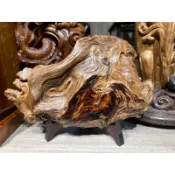 《收藏品》台灣檜木瘤 鳳尾瘤 原瘤擺件 樹瘤 倒閣料 黃檜