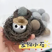 喜迎馬年🌟寵物石頭小黃人同款養石頭可愛夥伴寵物小石頭異寵省心小寵石頭