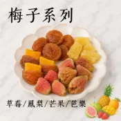 【梅子系列❤️梅子果乾】梅有芒果 梅有草莓 梅有芭樂 梅有鳳梨 /Go Dream 批發 豬肉條肉乾