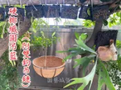 【園藝城堡】 硬椰纖圓吊籃(附鏈條) 硬椰纖圓吊組 椰纖吊盆 半圓椰吊盆 吊籃(台灣製造)