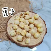 【新鮮現貨】蓮子乾🐹 1 0 g黃金鼠三線鼠布丁鼠銀狐鼠
