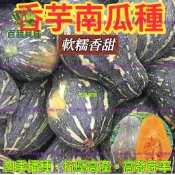 香芋南瓜種子 芋香南瓜 家庭菜園 瓜果種子 爬藤植物 庭院栽種 陽台盆栽 日本南瓜 栗子南瓜 自種蔬菜 觀賞食用