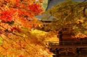 【Lion Travel 雄獅旅遊】限量北陸紅葉秘境～保住兩晚萬怡｜秋戀合掌村.博物館明治村.大矢田神社.鶴仙溪步道.古剎那谷寺.九頭龍湖.溫泉四日｜直飛富山 出發地點：台北