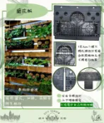 現貨【全館490超取免運】 美植板、蘭花板 塑膠蛇木板 適用石斛、蘭花、蕨類等附生植物【城市花園】