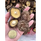 【小兔菇事】新社乾香菇!!產地直送 100g/150g/300g 年節送禮