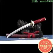 【桃園出龍泉劍懷劍短肋差劍冷兵katana未刃