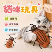 （搞怪❤️怪可愛）貓玩具 貓薄荷玩具 貓薄荷 自嗨貓玩具 逗貓玩具 貓咪玩具 貓抱枕  貓草玩具 高雄寵物店