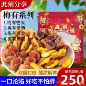 HanNaMiChan 梅有係列菠蘿芒果草莓無核梅子混閤痠甜果脯網紅蜜餞孕㛿零食果幹