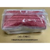 【清倉特賣】台灣製 防塵平面口罩 50入 無盒袋裝 售完為止 不織布 防塵 防潑水 透氣 舒適 安全 非醫用 成人 兒童
