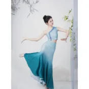 免運可開發票✨新款傣族舞蹈演出服女藝考服裝表演服劇目孔雀舞蹈裙練功裙魚尾裙滿額免運