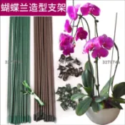低價#蝴蝶蘭支架 #植物支撐桿爬藤花卉金錢樹支花架夾子綠植造型包膠鐵絲905