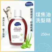🍃多件優惠🍃Redwin 茶樹洗髮精 煤焦油洗髮精 控油 去屑 無矽靈 洗髮精 最新效期 250ml
