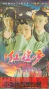 【小可精選國際購】經典四大名著《新紅樓夢》全集 DVD碟片 于小彤 楊洋