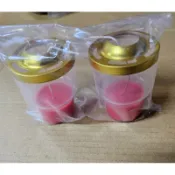 防風型蠟燭 神明地基主普渡方便1次性使用大約可以點4小時 防風蠟燭