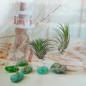 海玻璃 植物裝飾 空氣鳳梨擺飾 空氣植物架/鳳梨架/室內盆栽