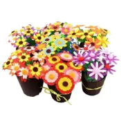 (店+)DIY布藝盆栽材料包 (DIY手作 不織布花盆 康乃馨 水仙 向日葵 太陽花 DIY盆栽 美勞 母親節 教師節)
