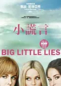 小謊言（HBO影集《美麗心計》原著小說書衣版）[二手書_良好]5461 TAAZE讀冊生活