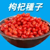 【枸杞種子】台灣現貨 紅枸杞 養生枸杞 藥用植物 盆栽 庭院 耐熱 四季可播 易種植 可食用 家庭菜園 新手易種植