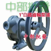 ※免運費※『中部批發』1英吋 1“ 白鐵齒輪幫浦 自吸式泵浦 抽油機 抽柴油機 不鏽鋼齒輪泵浦 外齒輪泵浦 食品級
