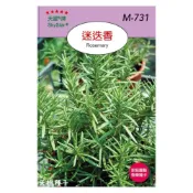 (店+)【天橙種子】迷迭香種子  香草種子 天星牌 穗耕種苗 彩色原包裝