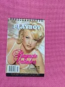 大象舊書(長Z81) PLAYBOY 2000年 月曆