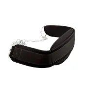 (店+)【ABSPORT】鐵鏈負重腰帶／健身負重腰帶／引體向上負重腰帶／腰帶鐵鍊