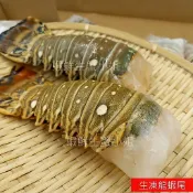 【海鮮7-11】生凍龍蝦尾  5盎司(130克上)/隻  ♦肉質Q彈紮實、細緻鮮嫩！**每隻420元**