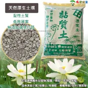 【花園城堡】原生田土 黏質土壤 黏土 泥土 水生植物 睡蓮 荷花 莎草 水稻 黏性土質 低雜質率 穩根效果 培養土