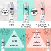 日本原裝 kao 花王 抑菌速淨 洗碗精 Natural Days 240ml 多款任選
