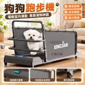 【電動靜音】狗狗跑步機 貓咪跑步機 犬用跑步機 貓跑步機 電動跑步機 室內運動走步機 迷你跑步機 遛狗神器