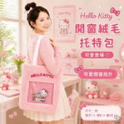 現貨 禮物 7-11 限量 Hello Kitty 凱蒂貓 手提包 開窗絨毛包 大型痛包 徽章 玩偶 凱蒂貓痛包 開窗