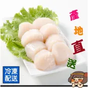 華得水產日本北海道生食級干貝 L/ M/ 2S/ S/❌無包冰 如果價格不是您的第一個考量，品質才是