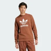 【adidas 愛迪達】 ADICOLOR 長袖上衣 大學T 男 - Originals IZ2357