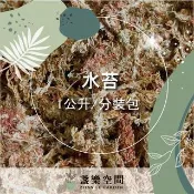 水苔 智利水苔 水草【土壤】智利水苔 鹿角蕨 蕨類 缽底石 水耕 礫耕 多肉土 觀葉植物土 苔球植物