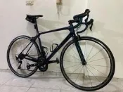 捷安特 GIANT TCR Advanced SLISP 第8代一級碳纖車架 尺寸M