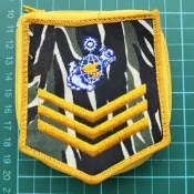 新樂園國魂本舖-海軍陸戰隊-永遠忠誠-上兵迷彩版
