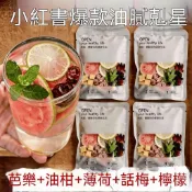 集優小鋪~芭樂油柑薄荷茶15g話梅檸檬洛神花真材實料夏日冷泡果茶